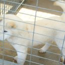 대청농장 이미지