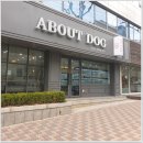 어바웃독 이미지