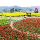 일렁이는 이미지