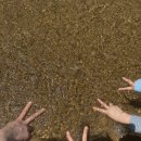 롱비치패밀리호텔 이미지