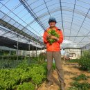 해병 제1상륙사단 이미지