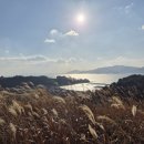 [유포마을]시금치