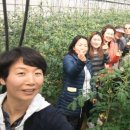 바른농장 이미지