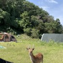 소쿠리섬1 이미지