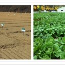 용고개농장 이미지