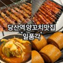 불타는 양꼬치 | 단체모임, 회식추천 당산역 양꼬치맛집 일품각 솔직후기