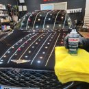 제라게카케어 이미지