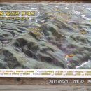 자미원역 | 강원도 두위봉 등반 1466m (우리나라 가장 오래된 주목, 자미원역 정상 주목군락지 도사곡휴양림)