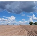 말밭농장 이미지