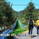 신성농장 이미지