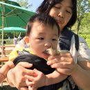 한성목장 이미지