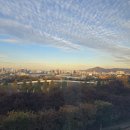 주식회사더부동산중개법인 이미지