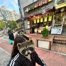 마름달12