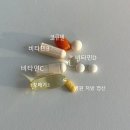 임신준비 엄마습관 대추차 삼신할매스무디 영양제 내돈내산