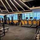 비바라짐 이미지