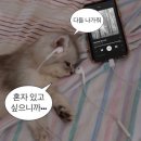 경주(부산) 이미지