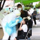 화순초 더 한국타임즈