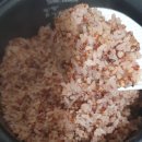 천연농산 | 알찬알곡 영원농산 찰수수 5kg : 국산 100% 염증킬러 내돈내산 후기