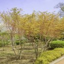 삼동 이미지