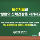 연세본정형외과 네이버블로그