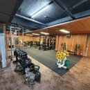 데시앙휘트니스 이미지