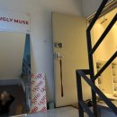 뮤즈21 | 홍대 합정 어글리뮤즈 속눈썹 펌과 연장 후기 내돈내산