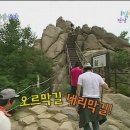 쨍하고해뜰날 - 안동시 복주길 43 | 쨍하고해뜰날