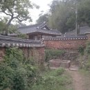 강골민박 이미지