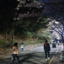 팔달산로 이미지