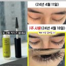 지미돈 | 티미지미 카멜래쉬 속눈썹 영양제 추천 내돈 내산 후기