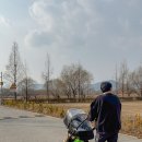 폭스2 | 신생아 유모차 대여 부가부 폭스2 디럭스유모차 3개월 실사용후기