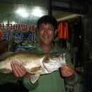 신월주유소 이미지