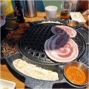 꽃피는고기