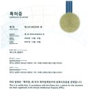 척추근육강화기 이미지