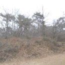 고미마을회관 이미지