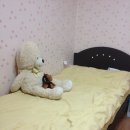 서림동-31 이미지