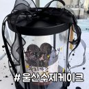 (원데이)발렌타인 기념 초코 베이킹 | 울산 수제케이크 쿠키클래스 원데이클래스 온데이