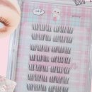 데일리아이래쉬 이미지