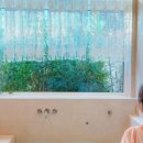 초당관광지 이미지