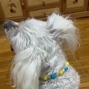 명곡 당구장 이미지