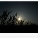 궁평항주유소 이미지