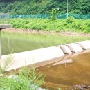 반월1교 이미지