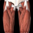 백천헬스 이미지