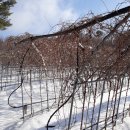 송아리농장 이미지