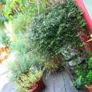 매직스튜디오 이미지