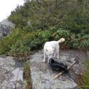 산정대덕 이미지