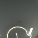 도그스쿨 이미지