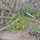 제이제이모텔 이미지