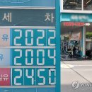 동반상승