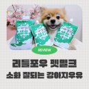 포우포우 반려견 유치원 | 소화가 잘되는 강아지우유 추천 리틀포우 펫밀크